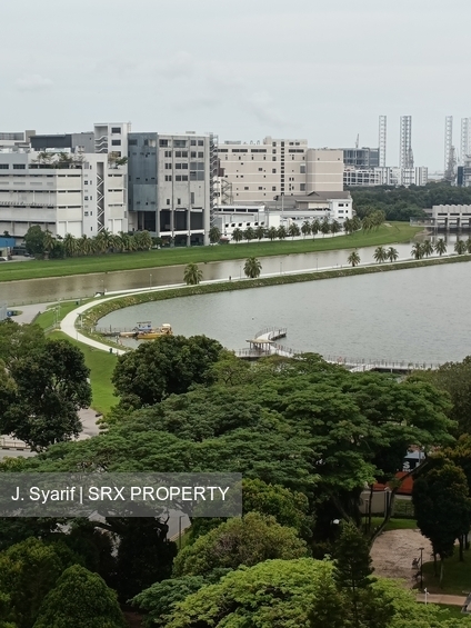 Blk 413 Pandan Gardens (Jurong East), HDB 5 Rooms #348947811